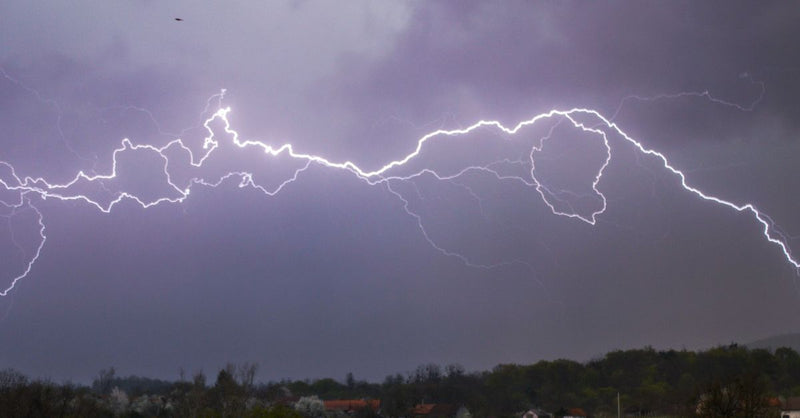Europe's deadly heatwaves drive calls for electrification at COP31