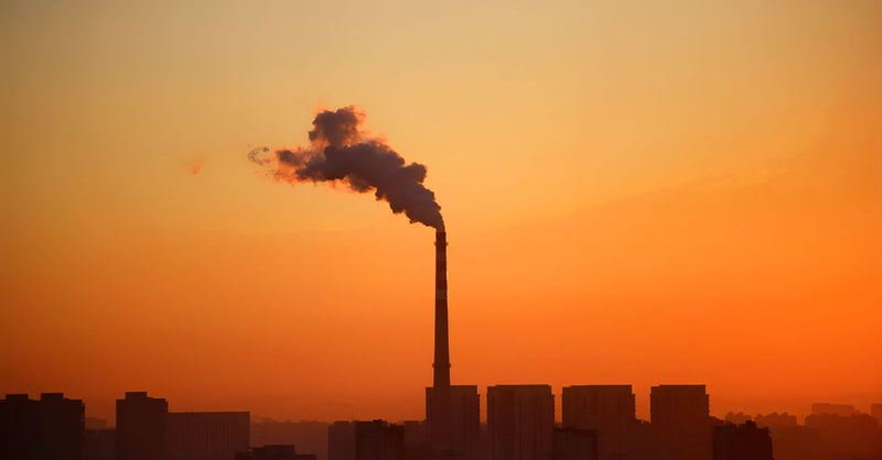 Free carbon allowances failed to drive EU steel decarbonisation