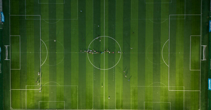 Carbon quality standards reshape offsetting as World Cup nears