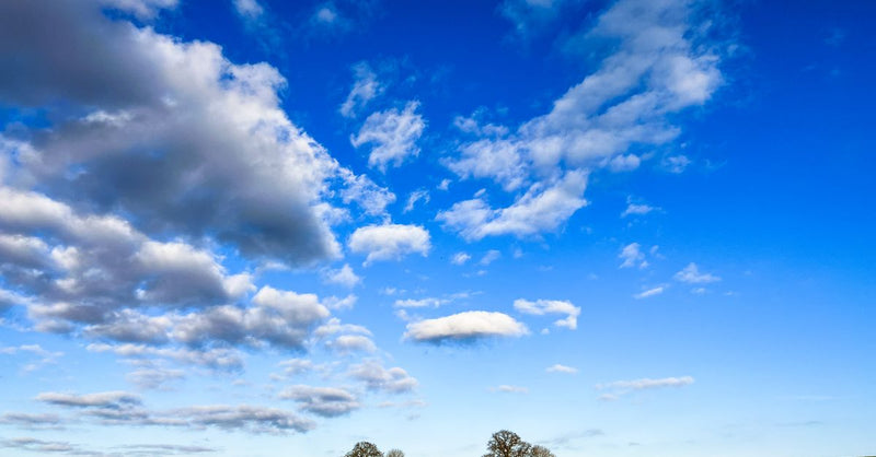 China's climate initiatives database reveals growing global influence