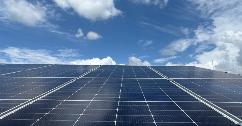 Does the UK need carbon capture to hit net-zero by 2050?