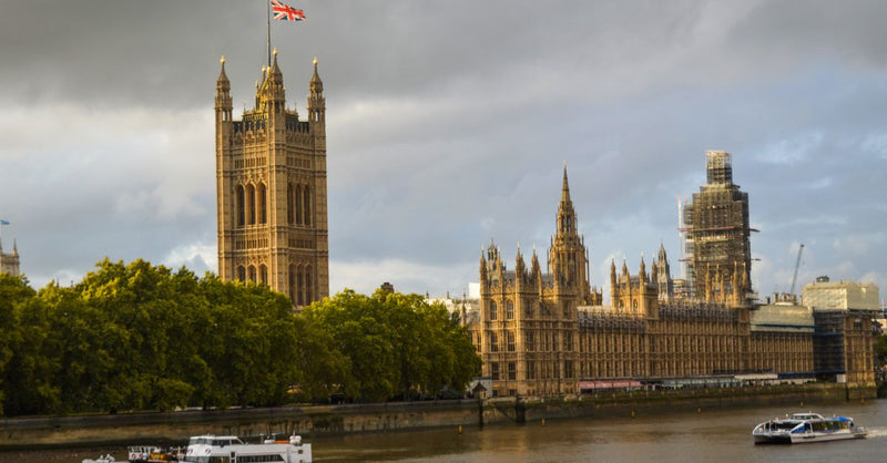 Burnham's Cabinet: what climate policy means for UK carbon offsetting