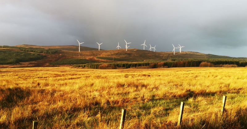 Wakefield Council scraps 2030 net-zero target: what happens next?