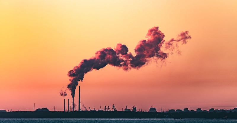 EU deforestation law: why UK businesses must act on Brazilian supply chains