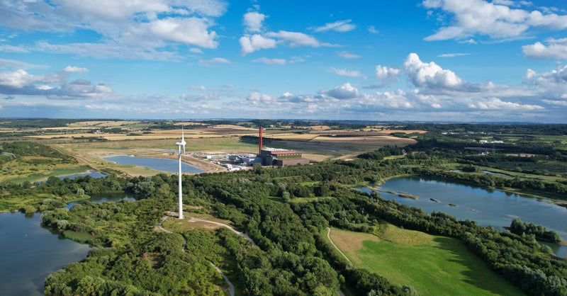 Rising heat weakens plants' ability to absorb CO2, study warns