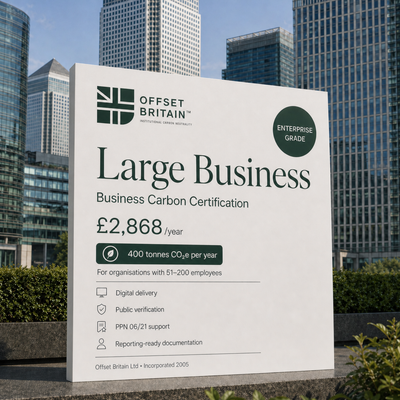 Large Business - Annual