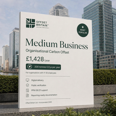 Medium Business - Annual