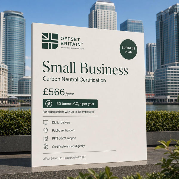Small Business - Annual