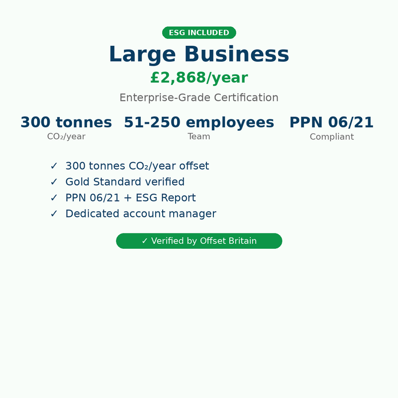 Large Business - Annual