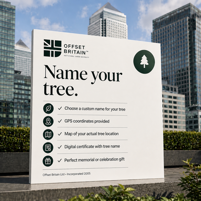 Name Your Tree