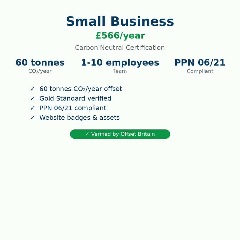 Small Business - Annual